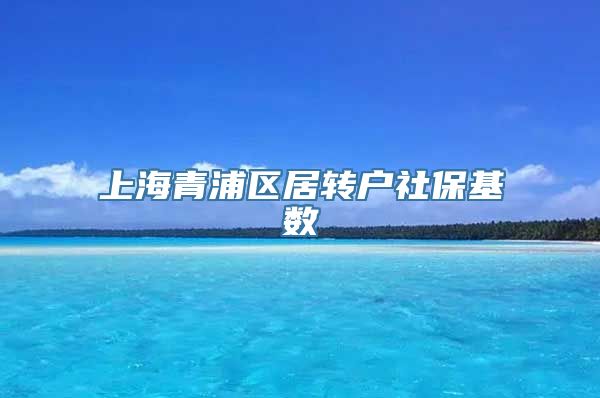 上海青浦区居转户社保基数