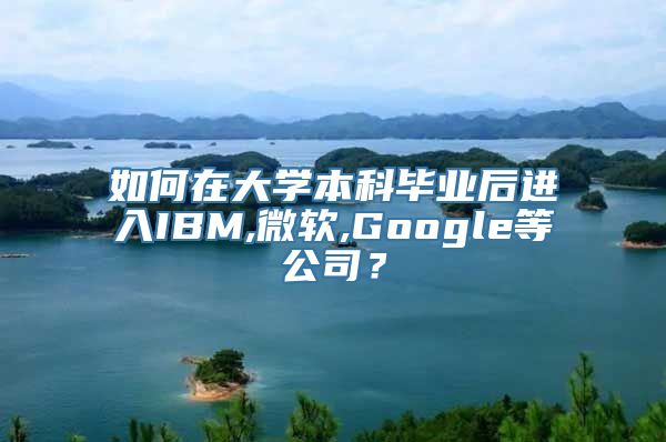 如何在大学本科毕业后进入IBM,微软,Google等公司？