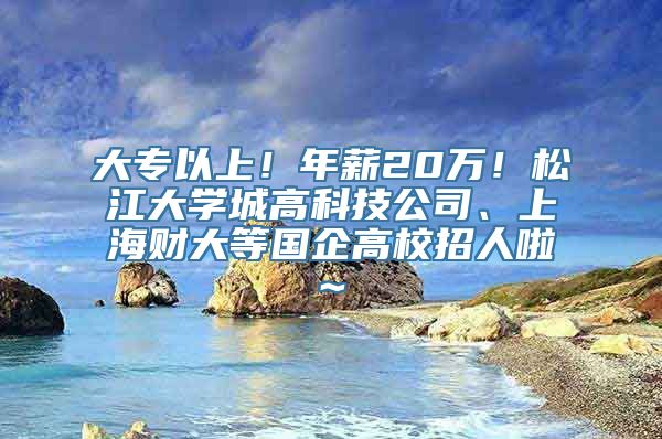 大专以上！年薪20万！松江大学城高科技公司、上海财大等国企高校招人啦~