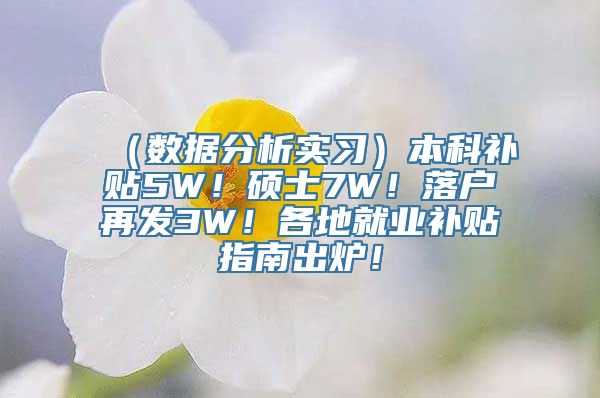 （数据分析实习）本科补贴5W！硕士7W！落户再发3W！各地就业补贴指南出炉！