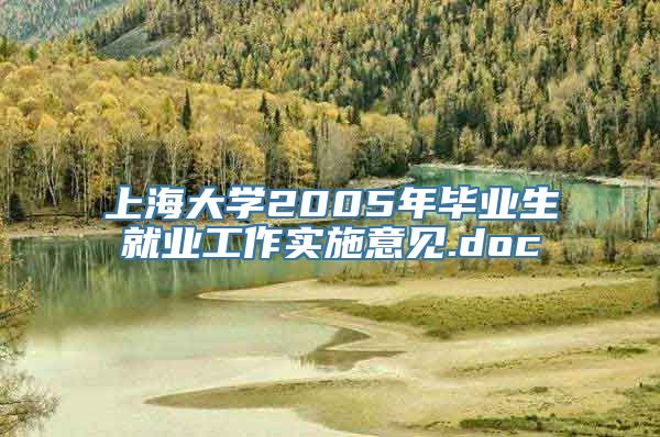 上海大学2005年毕业生就业工作实施意见.doc