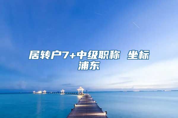 居转户7+中级职称 坐标浦东