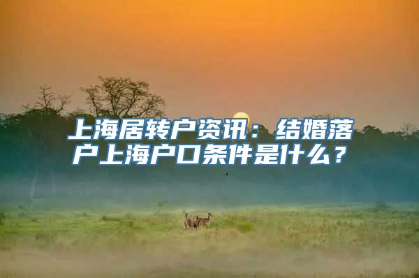 上海居转户资讯：结婚落户上海户口条件是什么？