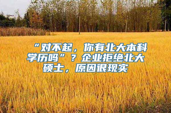 “对不起，你有北大本科学历吗”？企业拒绝北大硕士，原因很现实