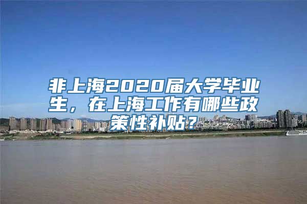 非上海2020届大学毕业生，在上海工作有哪些政策性补贴？