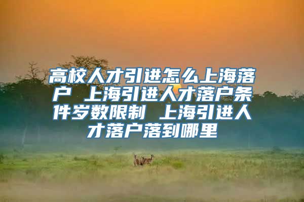 高校人才引进怎么上海落户 上海引进人才落户条件岁数限制 上海引进人才落户落到哪里