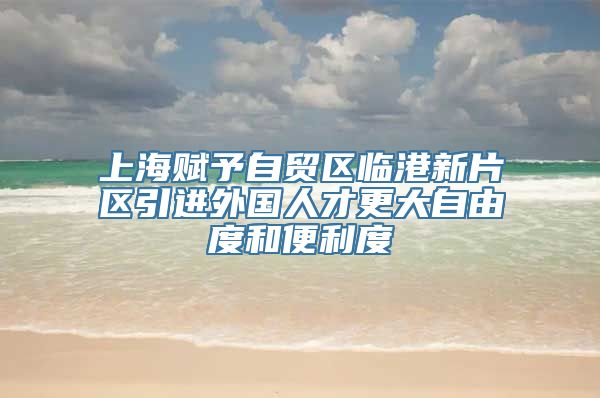 上海赋予自贸区临港新片区引进外国人才更大自由度和便利度