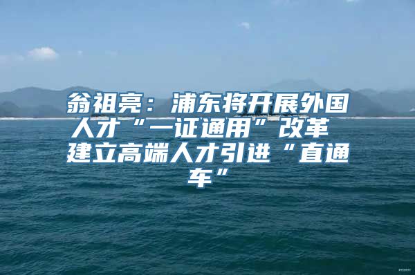 翁祖亮：浦东将开展外国人才“一证通用”改革 建立高端人才引进“直通车”