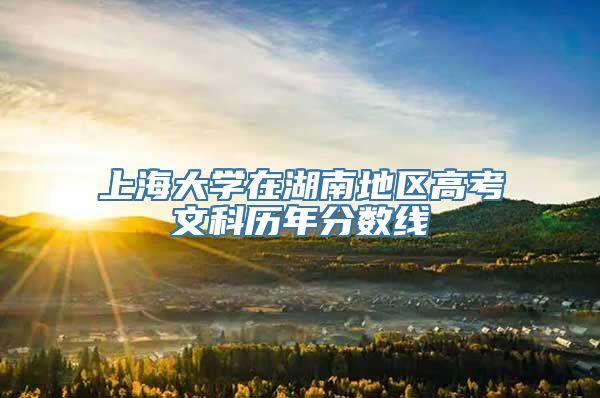 上海大学在湖南地区高考文科历年分数线