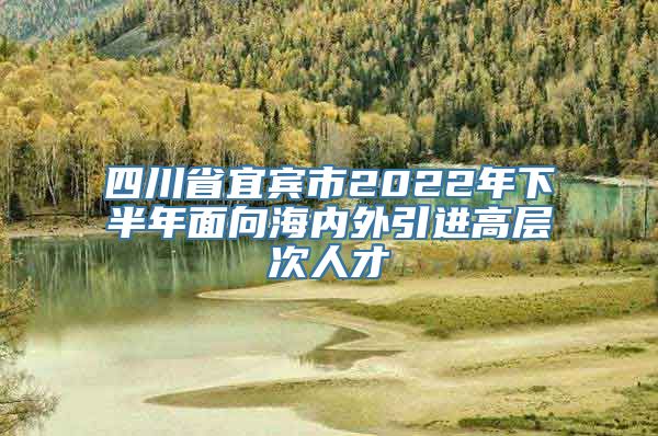 四川省宜宾市2022年下半年面向海内外引进高层次人才