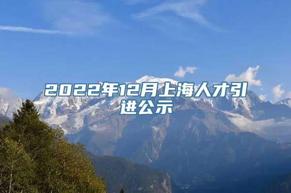 2022年12月上海人才引进公示