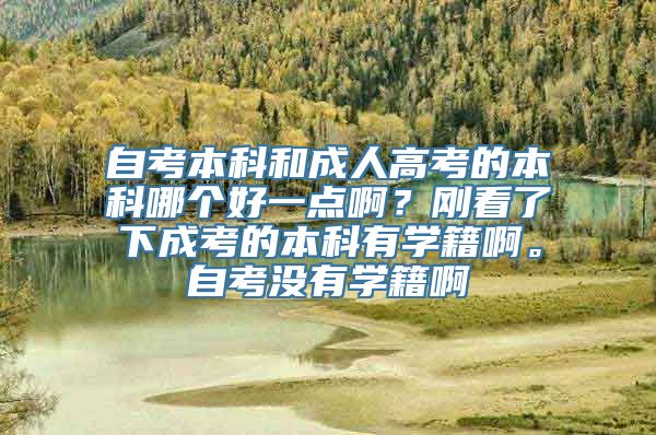 自考本科和成人高考的本科哪个好一点啊？刚看了下成考的本科有学籍啊。自考没有学籍啊