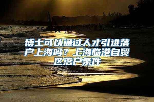 博士可以通过人才引进落户上海吗？上海临港自贸区落户条件