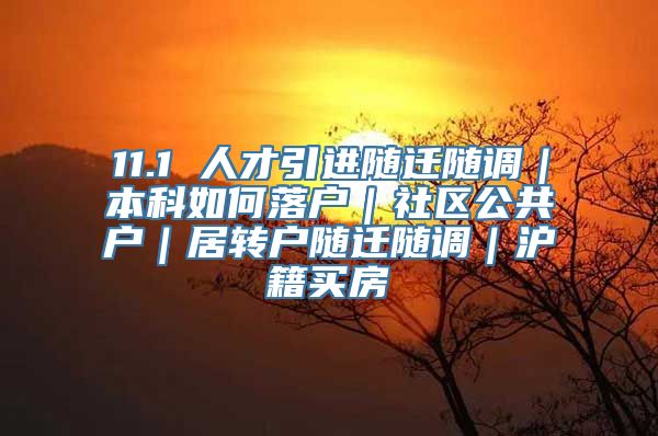 11.1 人才引进随迁随调｜本科如何落户｜社区公共户｜居转户随迁随调｜沪籍买房