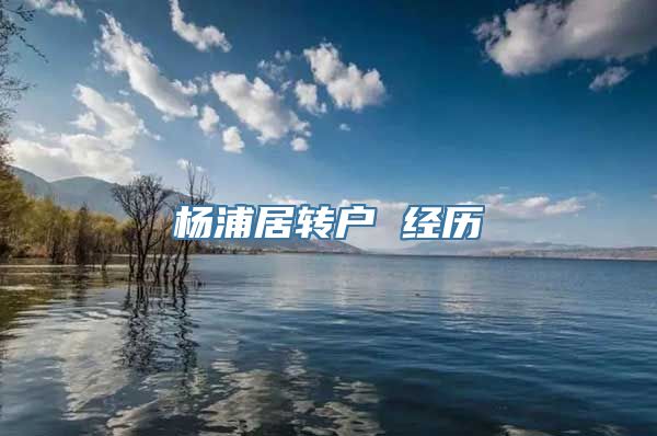 杨浦居转户 经历