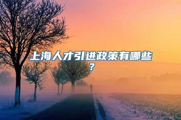 上海人才引进政策有哪些？