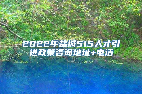 2022年盐城515人才引进政策咨询地址+电话