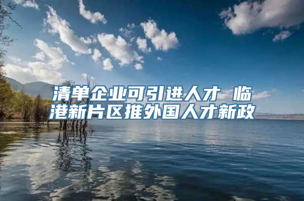 清单企业可引进人才 临港新片区推外国人才新政