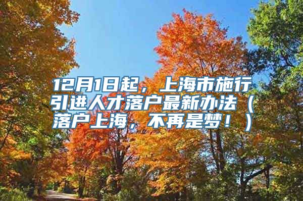 12月1日起，上海市施行引进人才落户最新办法（落户上海，不再是梦！）