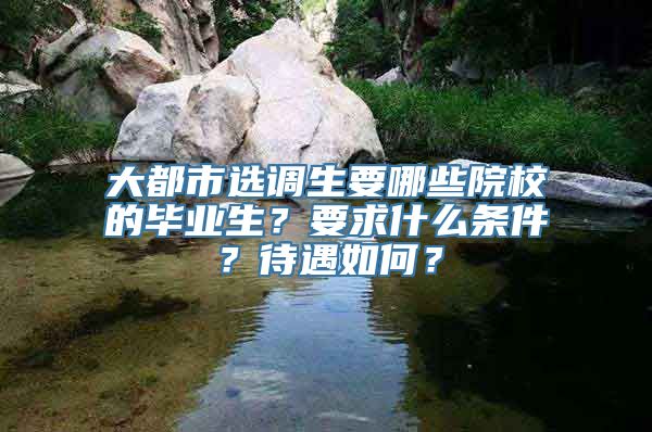 大都市选调生要哪些院校的毕业生？要求什么条件？待遇如何？