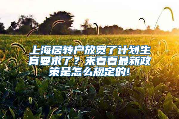 上海居转户放宽了计划生育要求了？来看看最新政策是怎么规定的!