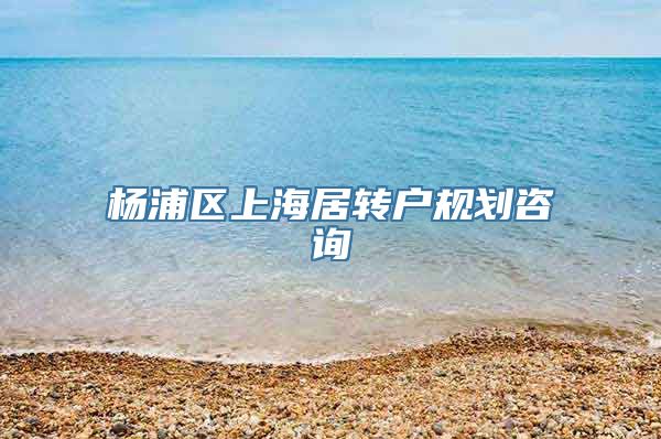 杨浦区上海居转户规划咨询