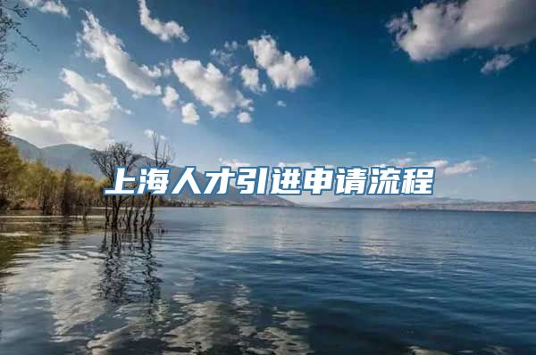 上海人才引进申请流程