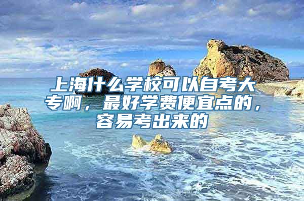 上海什么学校可以自考大专啊，最好学费便宜点的，容易考出来的