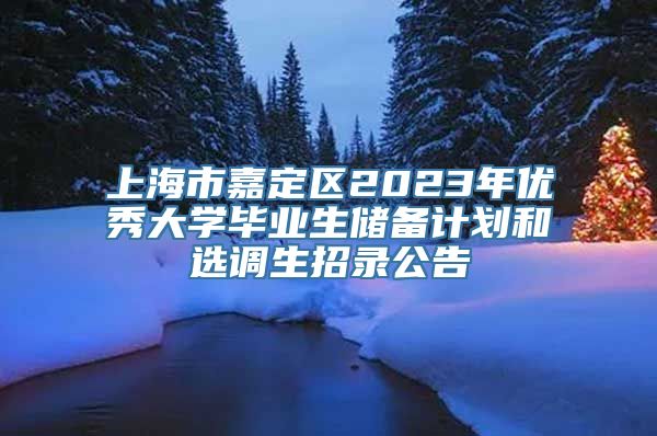 上海市嘉定区2023年优秀大学毕业生储备计划和选调生招录公告