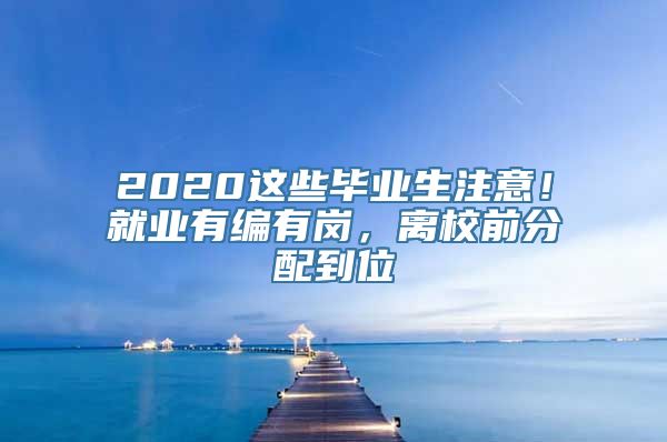 2020这些毕业生注意！就业有编有岗，离校前分配到位