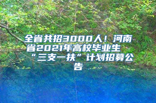 全省共招3000人！河南省2021年高校毕业生“三支一扶”计划招募公告