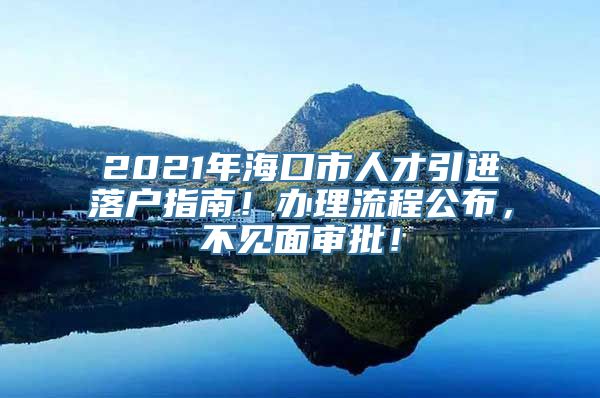 2021年海口市人才引进落户指南！办理流程公布，不见面审批！