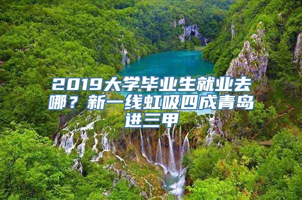 2019大学毕业生就业去哪？新一线虹吸四成青岛进三甲