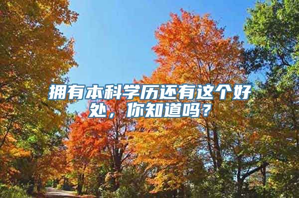 拥有本科学历还有这个好处，你知道吗？