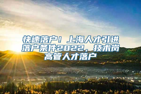 快速落户！上海人才引进落户条件2022，技术岗高管人才落户