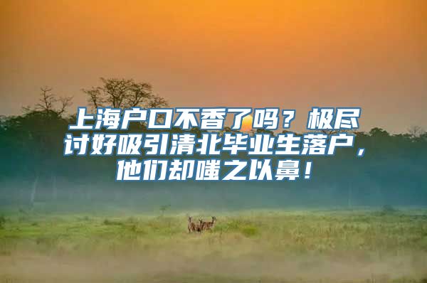 上海户口不香了吗？极尽讨好吸引清北毕业生落户，他们却嗤之以鼻！