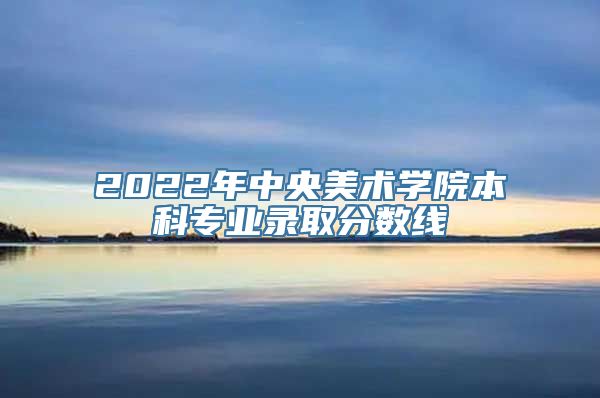 2022年中央美术学院本科专业录取分数线