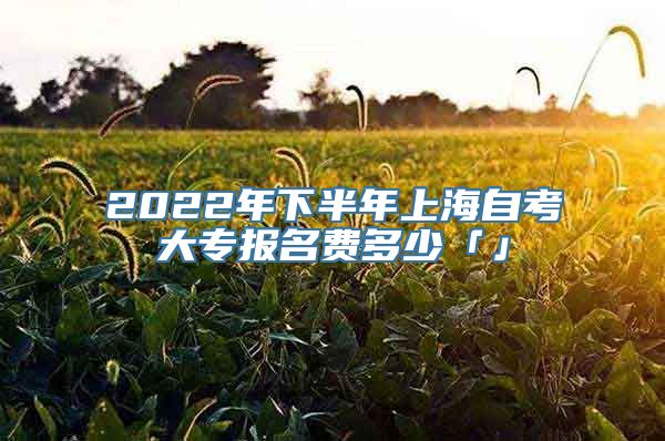 2022年下半年上海自考大专报名费多少「」