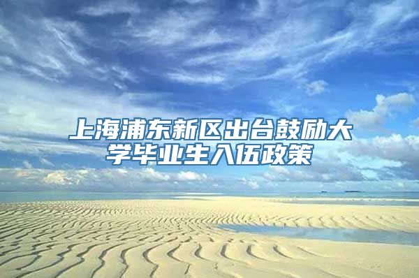 上海浦东新区出台鼓励大学毕业生入伍政策