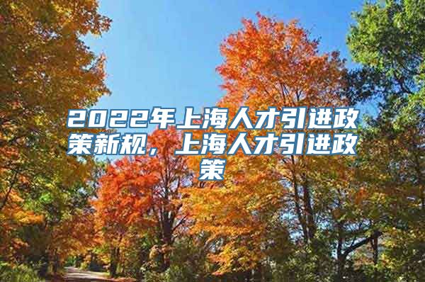 2022年上海人才引进政策新规，上海人才引进政策