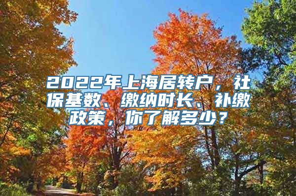 2022年上海居转户，社保基数、缴纳时长、补缴政策，你了解多少？