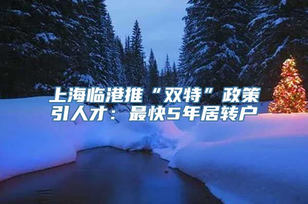 上海临港推“双特”政策引人才：最快5年居转户