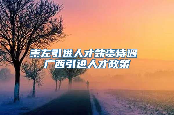 崇左引进人才薪资待遇 广西引进人才政策