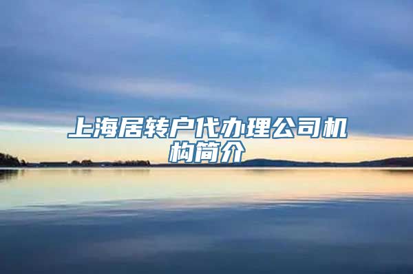 上海居转户代办理公司机构简介