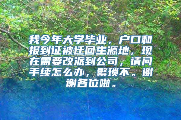 我今年大学毕业，户口和报到证被迁回生源地，现在需要改派到公司，请问手续怎么办，繁琐不。谢谢各位啦。