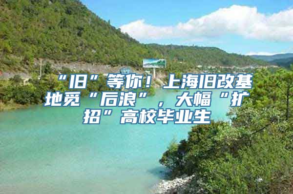 “旧”等你！上海旧改基地觅“后浪”，大幅“扩招”高校毕业生