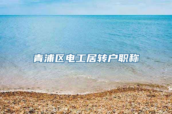 青浦区电工居转户职称