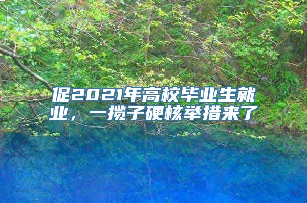 促2021年高校毕业生就业，一揽子硬核举措来了