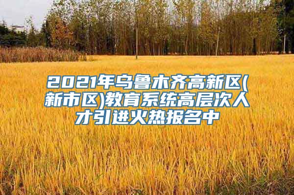 2021年乌鲁木齐高新区(新市区)教育系统高层次人才引进火热报名中