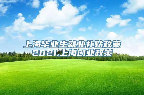 上海毕业生就业补贴政策2021,上海创业政策